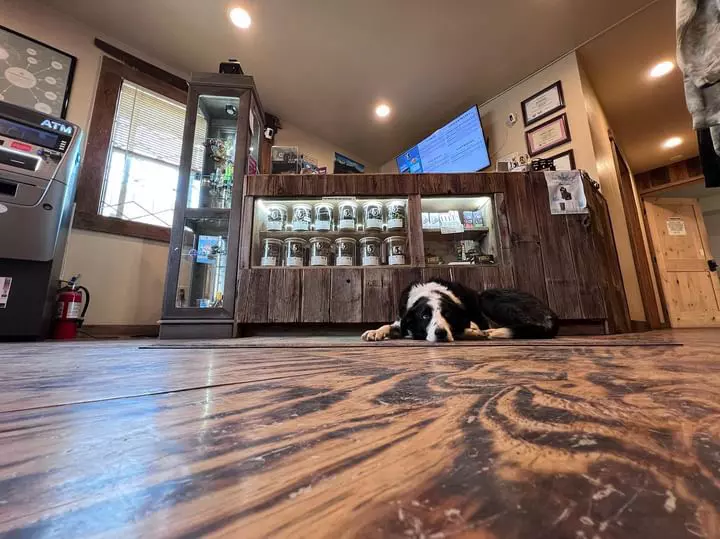 four corners dispensary interior