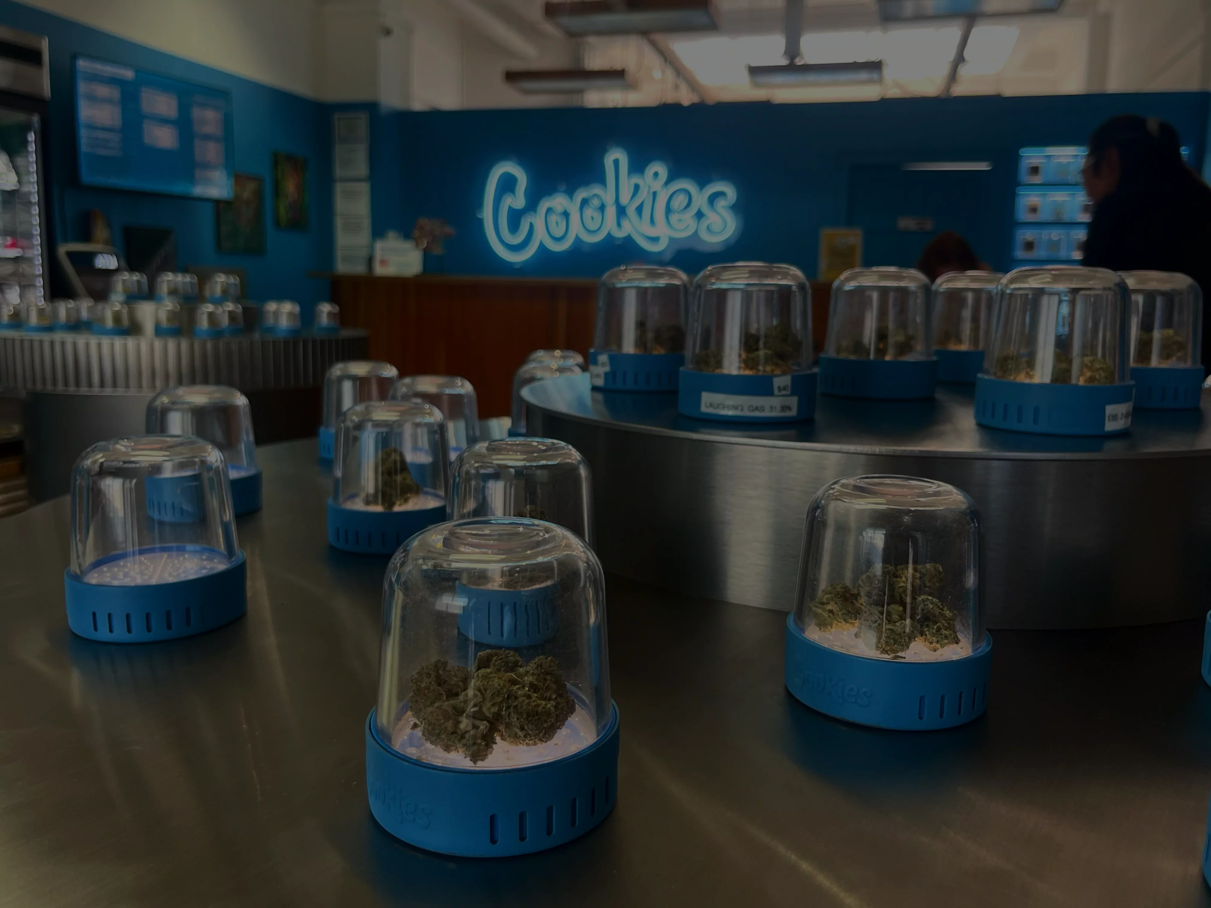 cookies missoula dispensary
